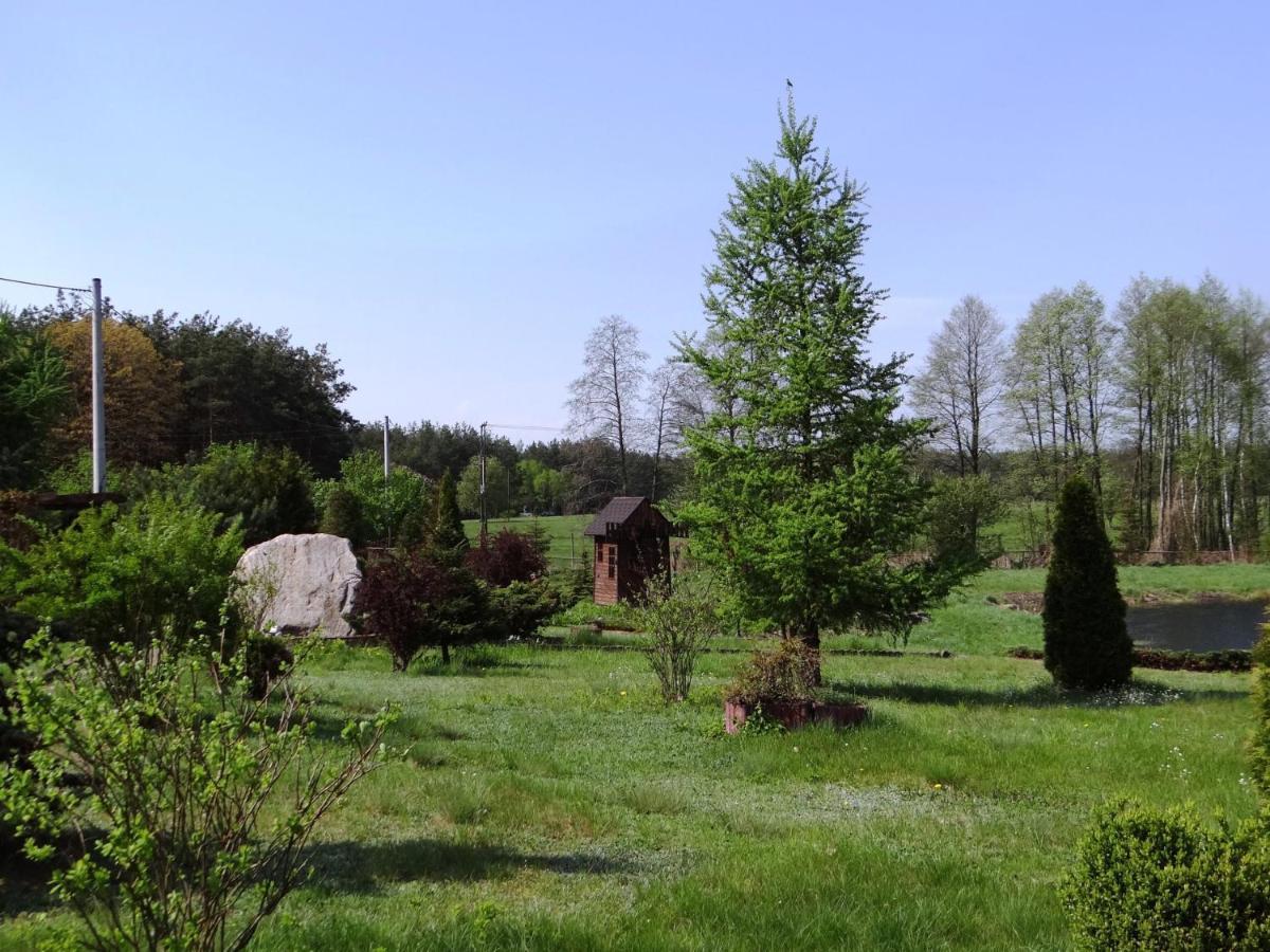 Gospodarstwo Agroturystyczne Zasadkowe Bory Rogowo  外观 照片