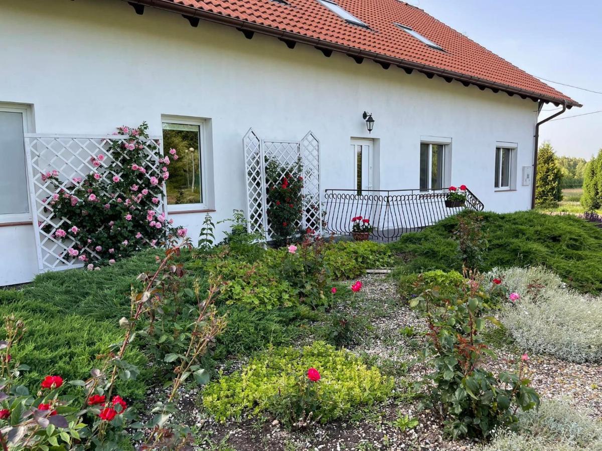 Gospodarstwo Agroturystyczne Zasadkowe Bory Rogowo  外观 照片